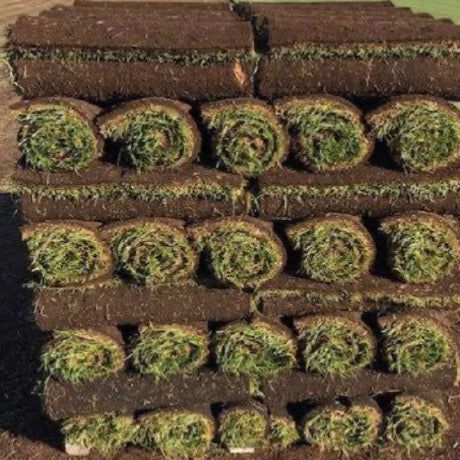 Peat Sod