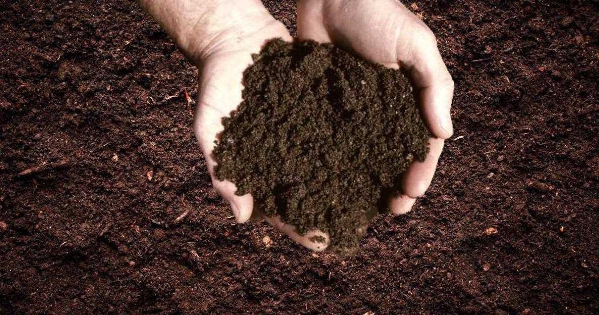 5-Way Soil