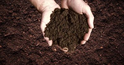 5-Way Soil