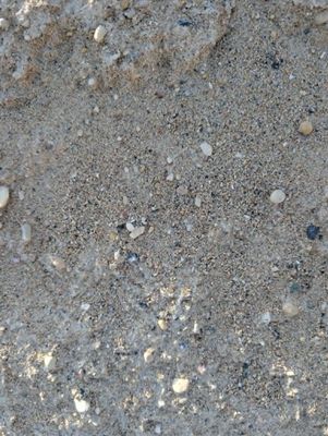 5% Salt Sand