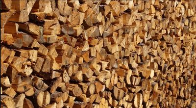 Firewood
