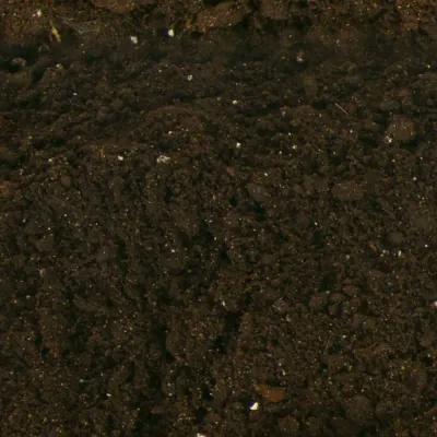 Soil Fill