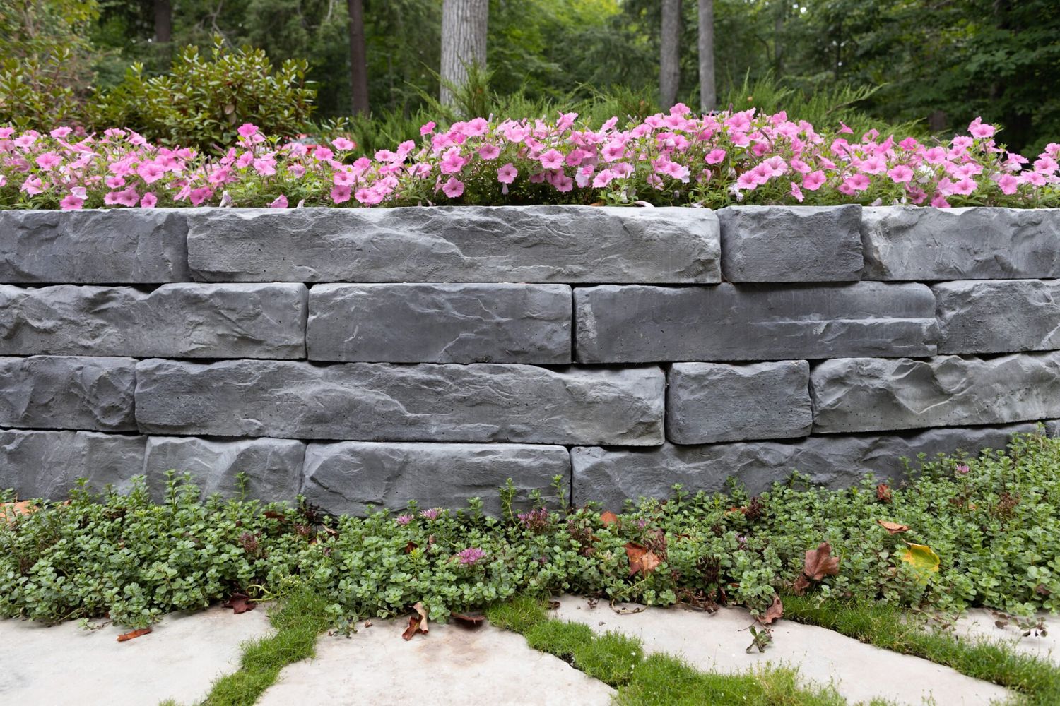 Barkman Rosetta® Grand Ledge