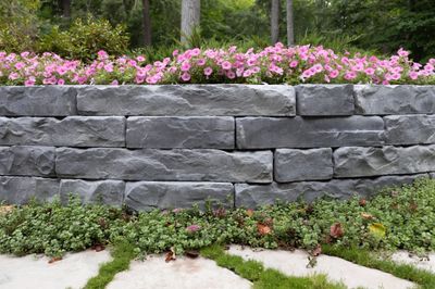 Barkman Rosetta® Grand Ledge