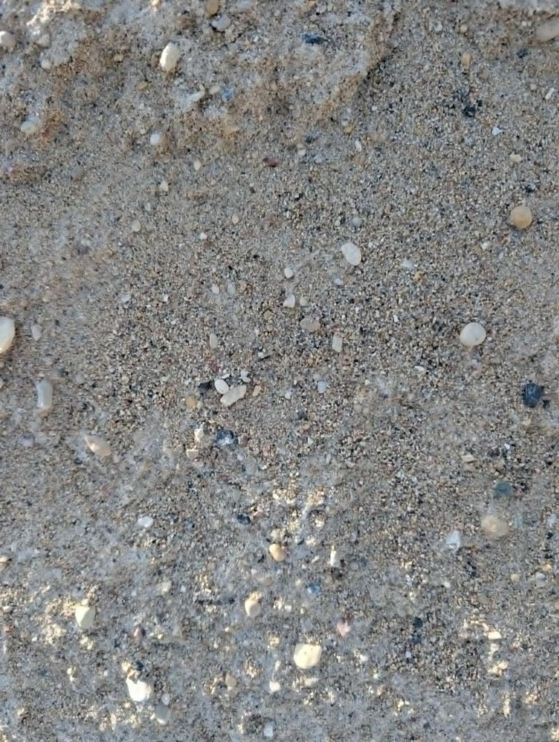 5% Salt Sand