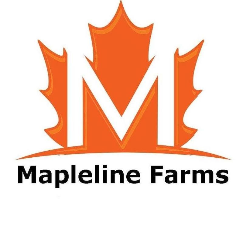 Mapleline Farms
