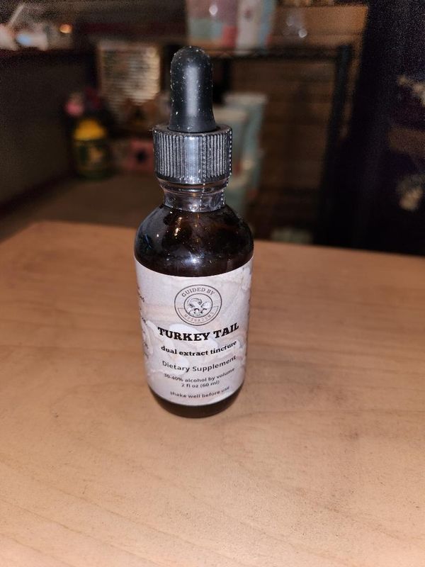 Turkey Tail Mushroom Tincture