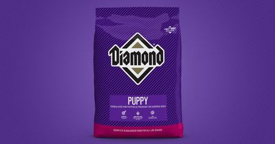 Diamond Puppy (6lbs)