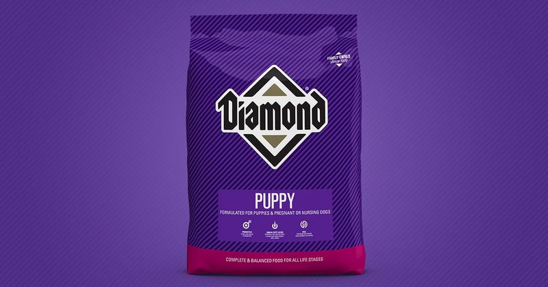 Diamond Puppy (6lbs)