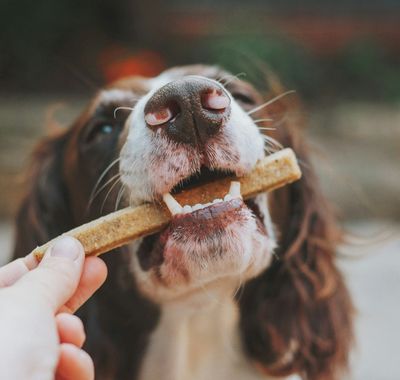 Treats