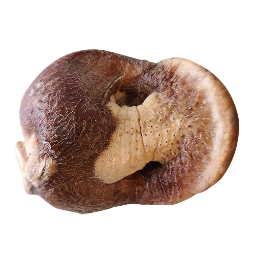 Bones&amp; Co. Dog Pig Snout Treat