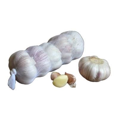 Fresh Garlic 5pc Bag