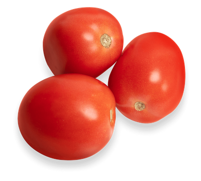 Fresh Roma Tomato