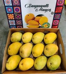 Banganpalli Mango Box