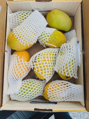 Rasalu Mango Box