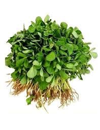 Fresh Methi Bunch