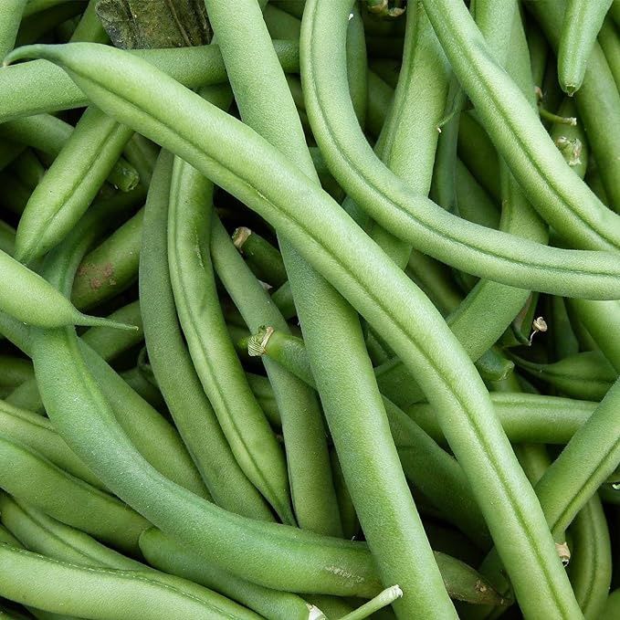 Fresh Green Beans