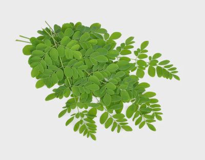 Fresh Drumstick Leaves