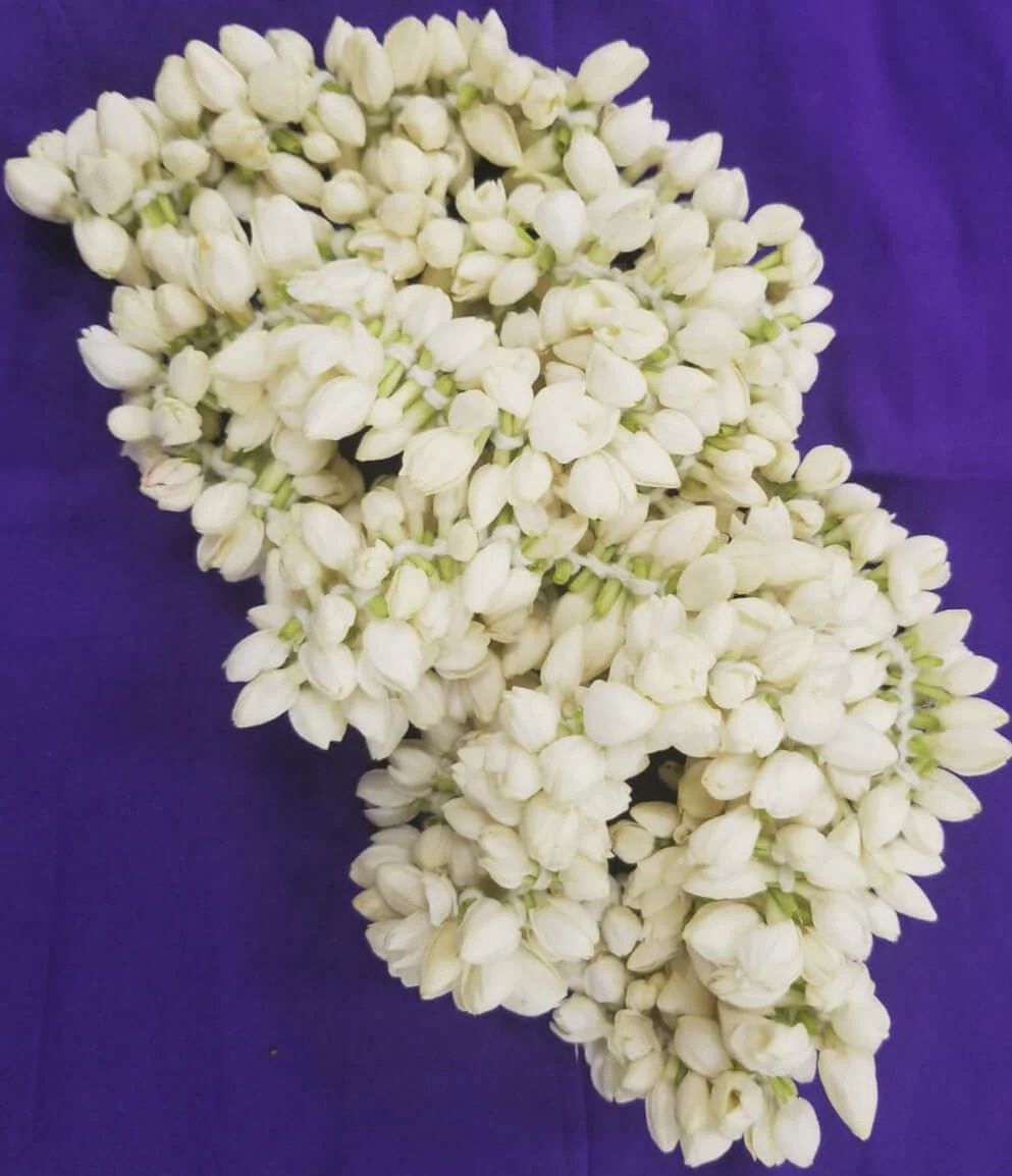 Jasmine Fresh Flowers String 5ft