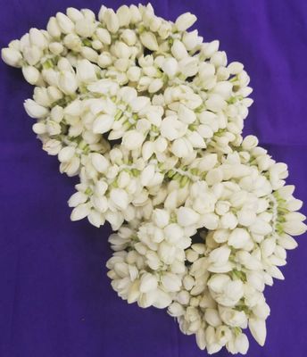 Jasmine Fresh Flowers String 5ft