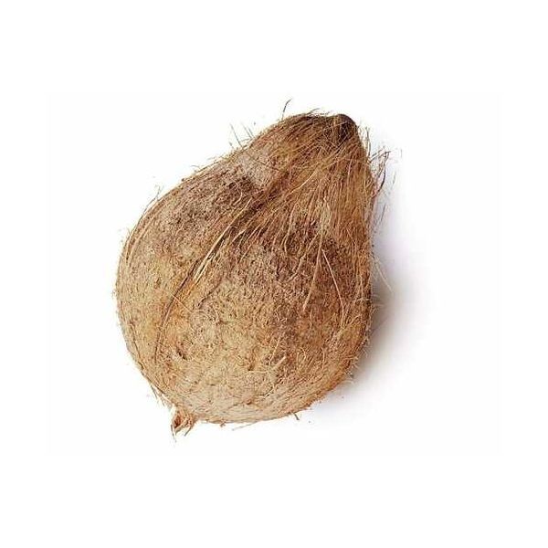 Fresh Coconut Pooja (Tail)