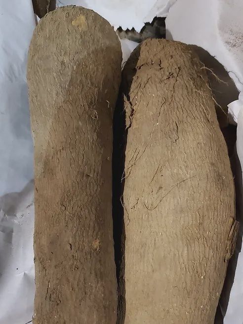 Fresh Yam