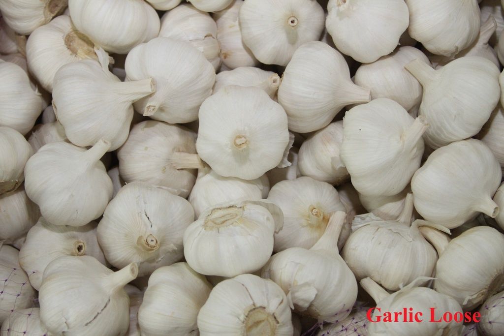 Fresh Garlic Loose