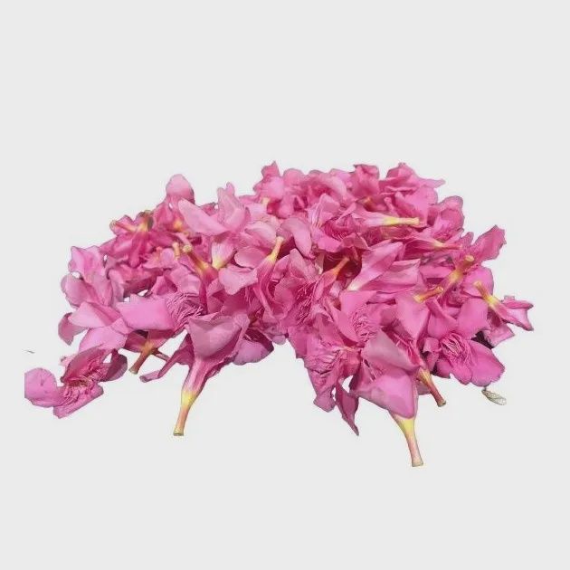 Arali Fresh flowers