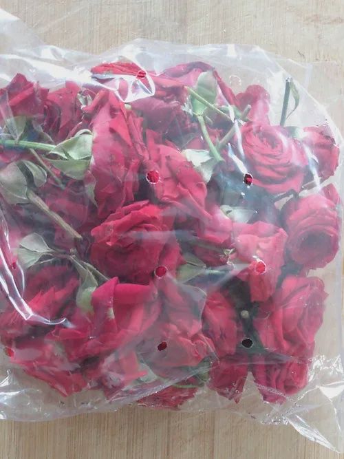 Rose Fresh Flowers Red