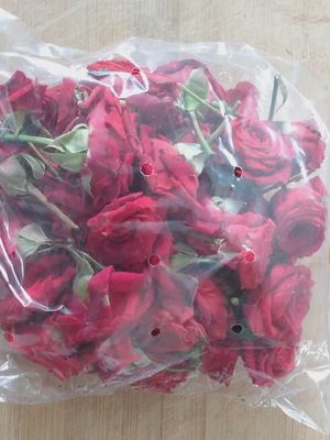 Rose Fresh Flowers Red
