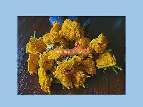 Rose Fresh Flowers Yellow