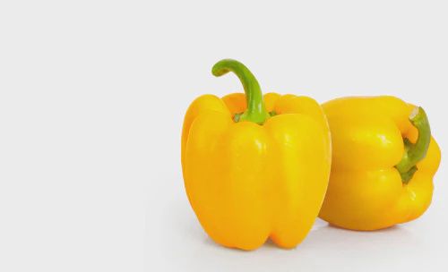 Fresh Bell Pepper Color 1 PC