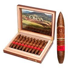Oliva Figurino Año 2023