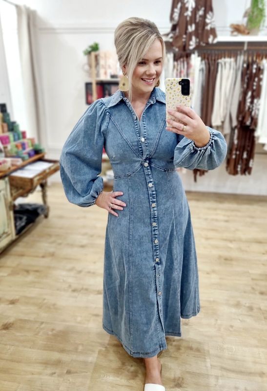 Mika Denim Dress