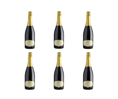 CARTONE DA 6 BOTTIGLIE CASTELVEDER BRUT, FRANCIACORTA DOCG BLAND TRA CHARDONNAY E PINOT - CANTINA CASTELVEDER