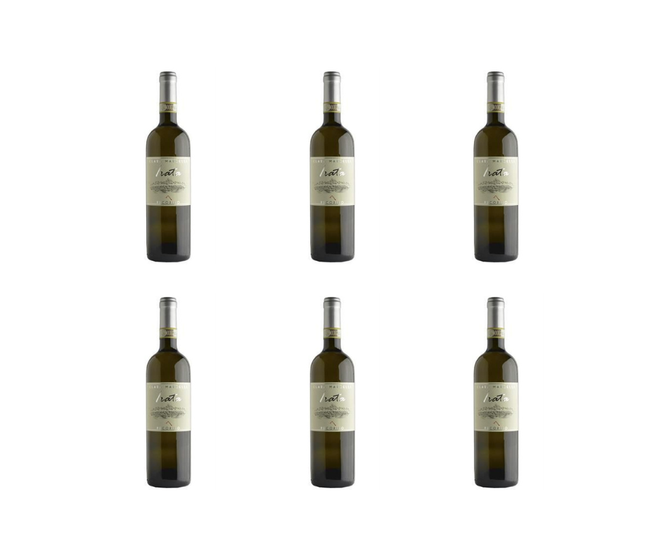 CARTONE DA 6 BOTTIGLIE  - IRATA, OFFIDA PECORINO DOCG 100% PECORINO - CANTINA CLARA MARCELLI