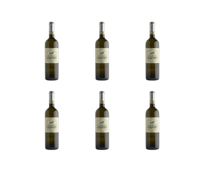 CARTONE DA 6 BOTTIGLIE  - IRATA, OFFIDA PECORINO DOCG 100% PECORINO - CANTINA CLARA MARCELLI