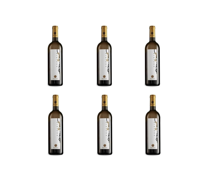 CARTONE DA 6 BOTTIGLIE - ZIBIBBO, TERRE SICILIANE IGT 100% MOSCATO D ALESSANDRIA - CANTINA NINO BARRACO