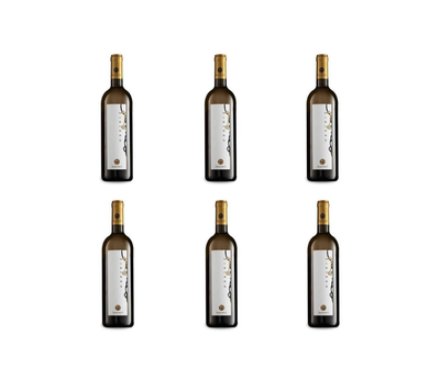 CARTONE DA 6 BOTTIGLIE - ZIBIBBO, TERRE SICILIANE IGT 100% MOSCATO D ALESSANDRIA - CANTINA NINO BARRACO