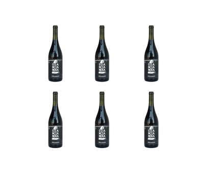 CARTONE DA 6 BOTTIGLIE - GUANCIA NERA, TERRE SICILIANE IGT 100% NERO D AVOLA - CANTINA FABIO FERRACANE