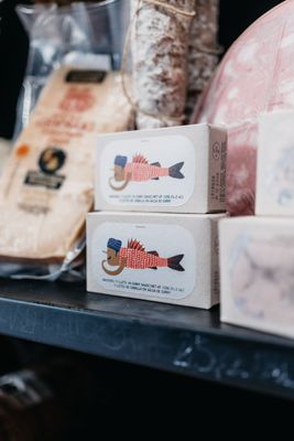 CONSERVE DI PESCE
