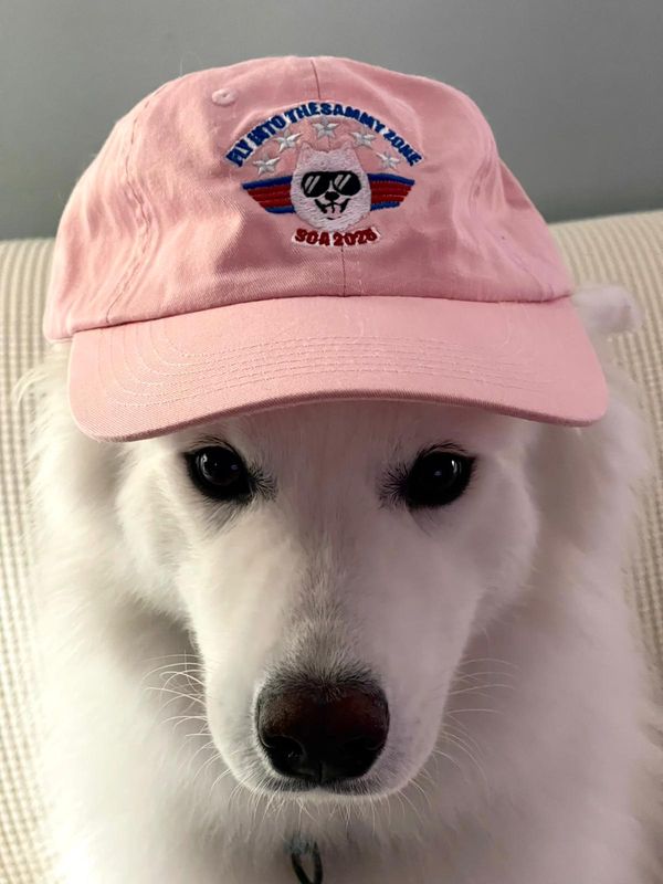 Washed Cap