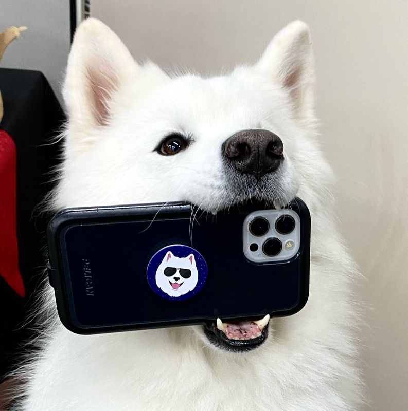 PopSockets® PopGrip