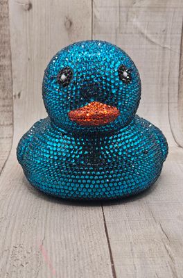 Turquoise Ocean Duck