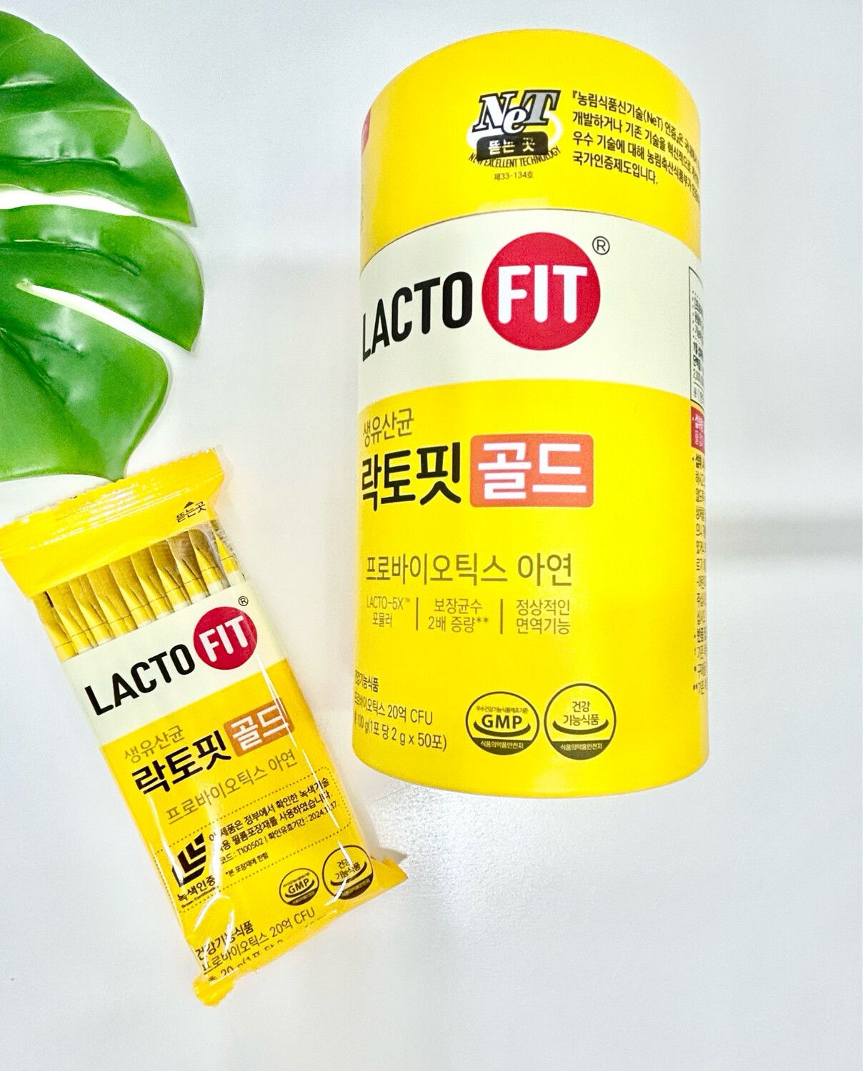 Lactofit gold ашигтай бактери 100g 50 ширхэгтэй