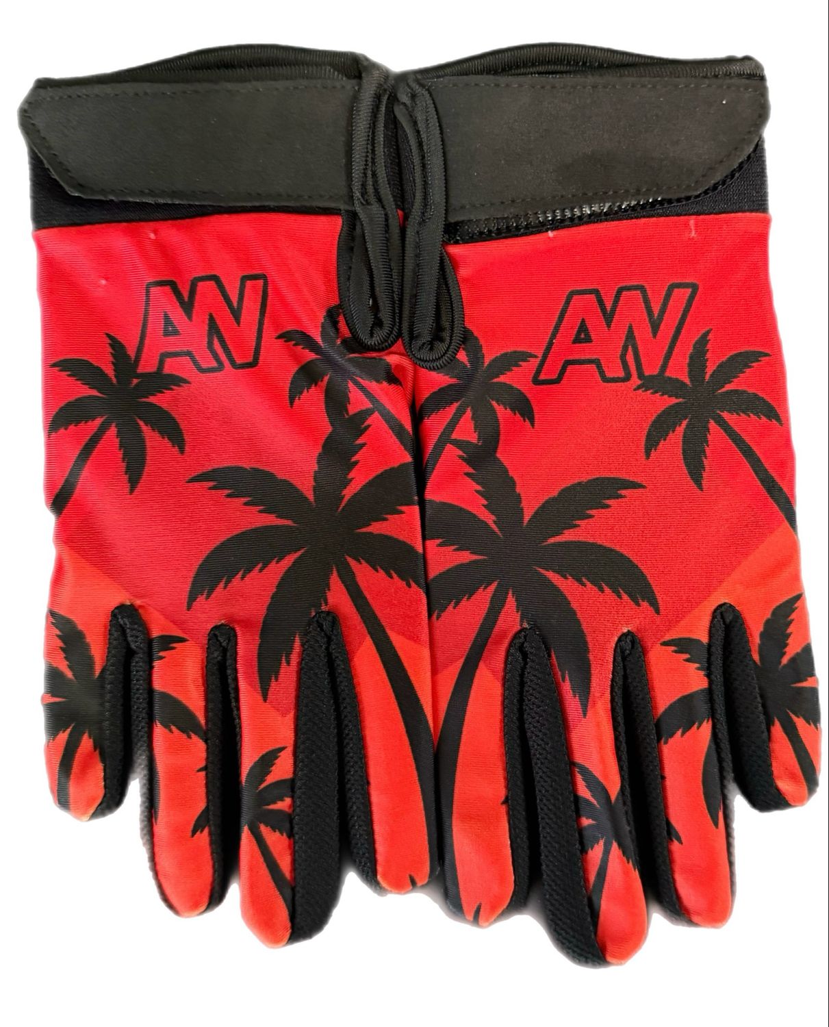 Palm Tree