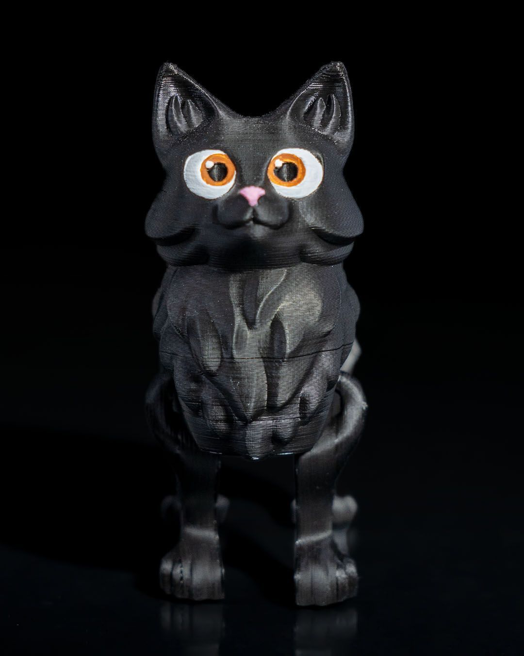 Adorable Articulated Kitten