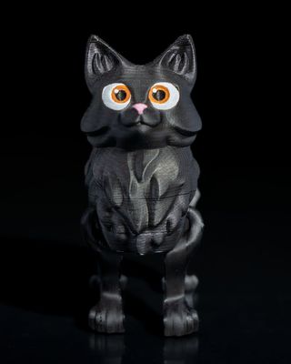 Adorable Articulated Kitten