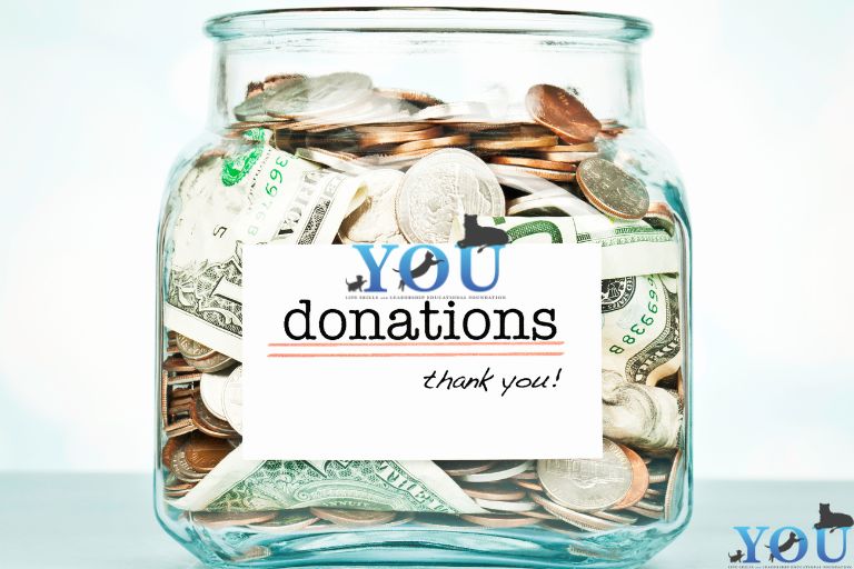 Every donation helps make a difference