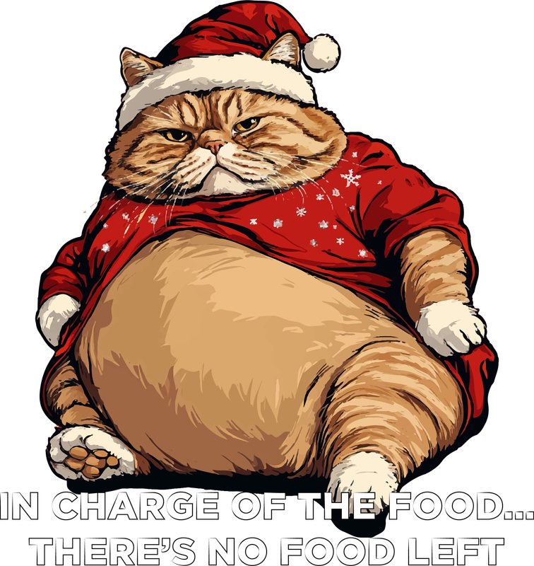 Funny Christmas Graphic T-Shirts